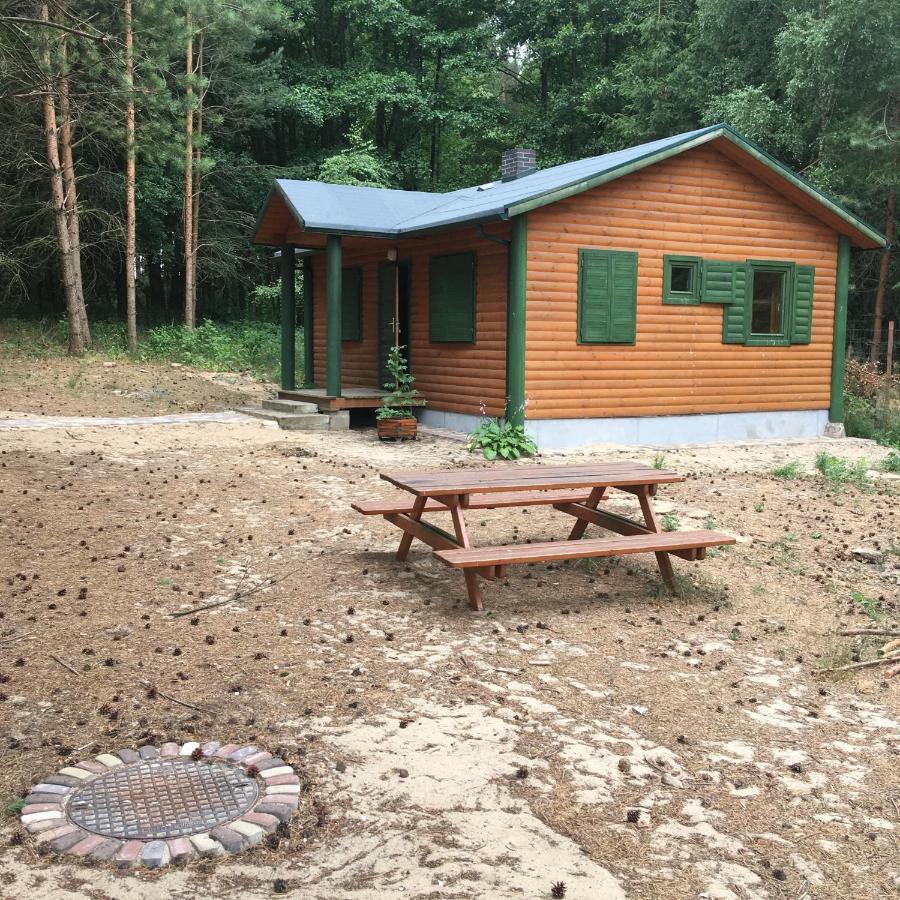 Agroturystyka Oaza Ciszy I Spokoju Miedzychod Extérieur photo