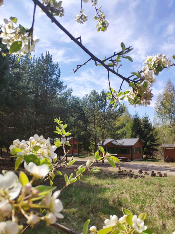 Agroturystyka Oaza Ciszy I Spokoju Miedzychod Extérieur photo