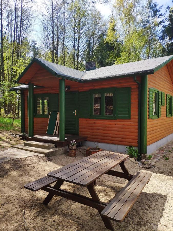 Agroturystyka Oaza Ciszy I Spokoju Miedzychod Extérieur photo