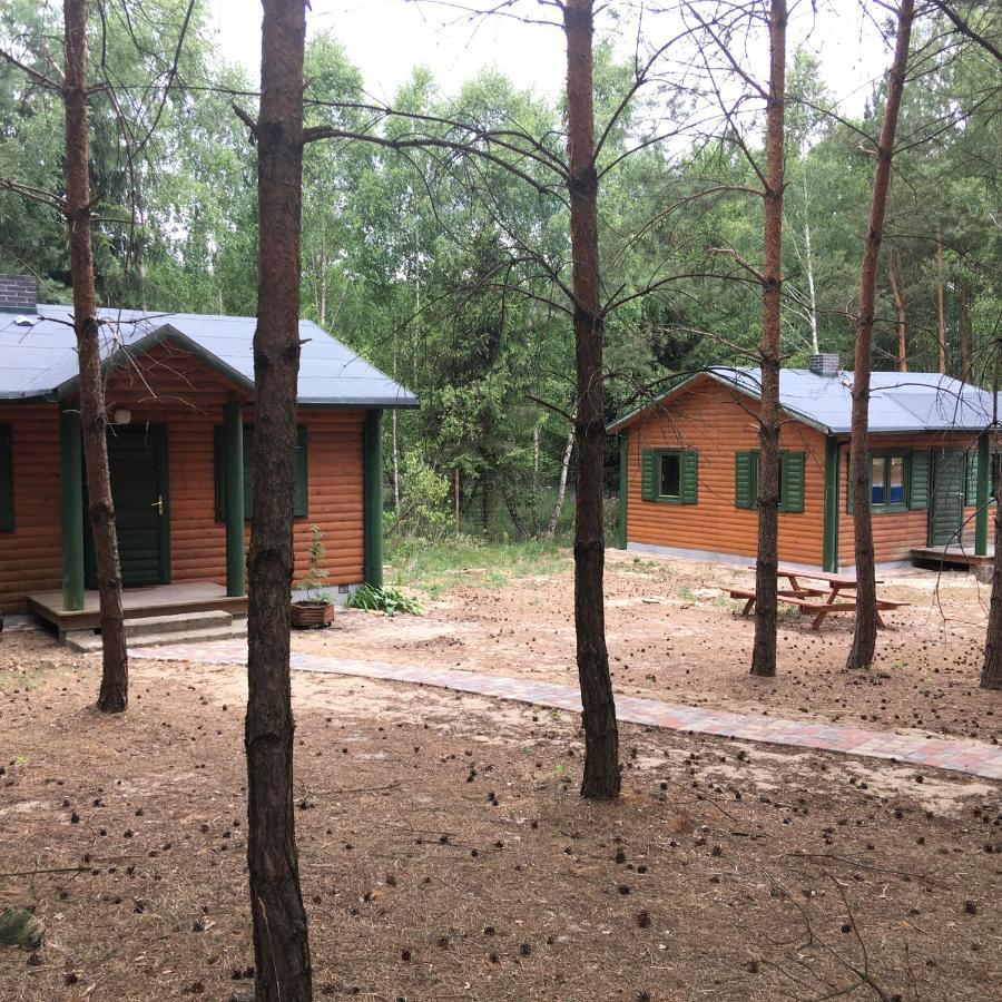 Agroturystyka Oaza Ciszy I Spokoju Miedzychod Extérieur photo