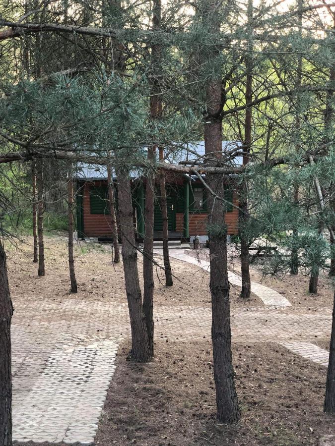 Agroturystyka Oaza Ciszy I Spokoju Miedzychod Extérieur photo