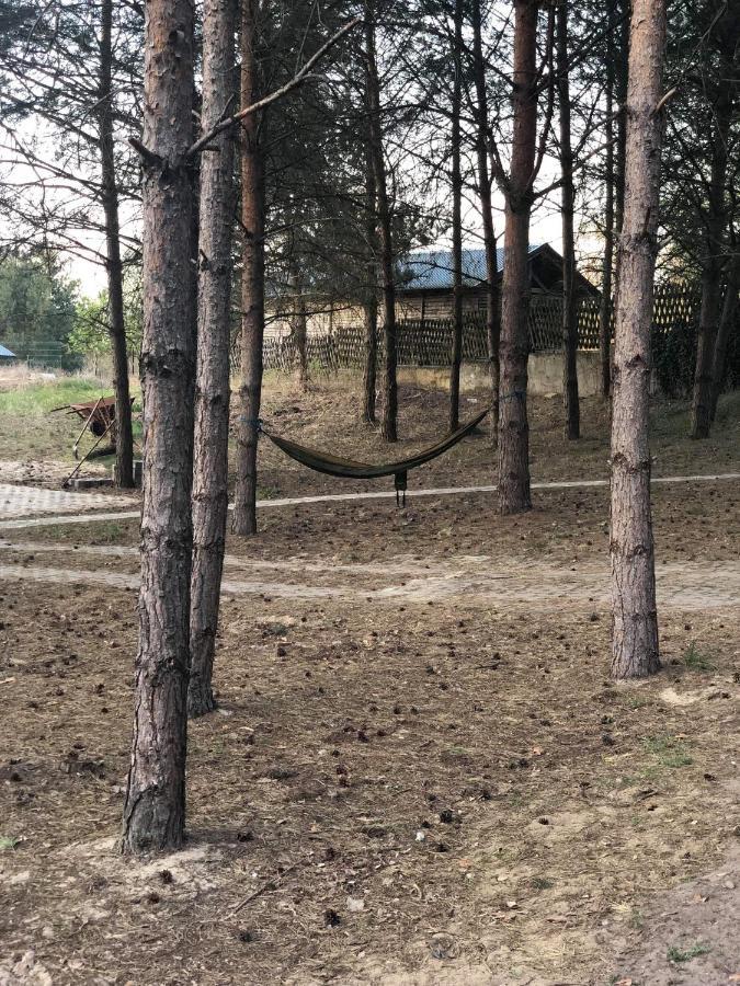 Agroturystyka Oaza Ciszy I Spokoju Miedzychod Extérieur photo