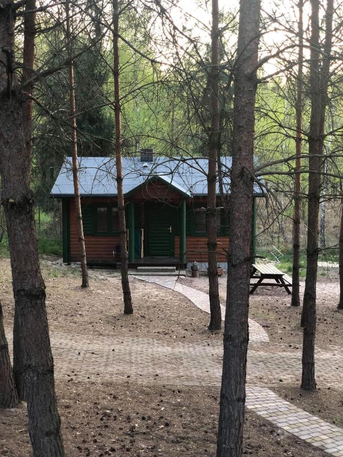 Agroturystyka Oaza Ciszy I Spokoju Miedzychod Extérieur photo
